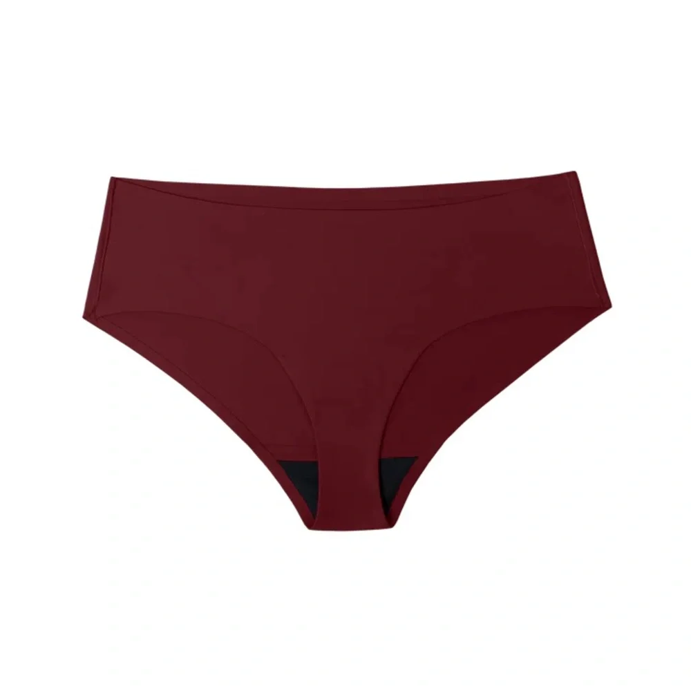 NWT PROOF LEAK PROOF BRIEF IN WINE SIZE SMALL Z496